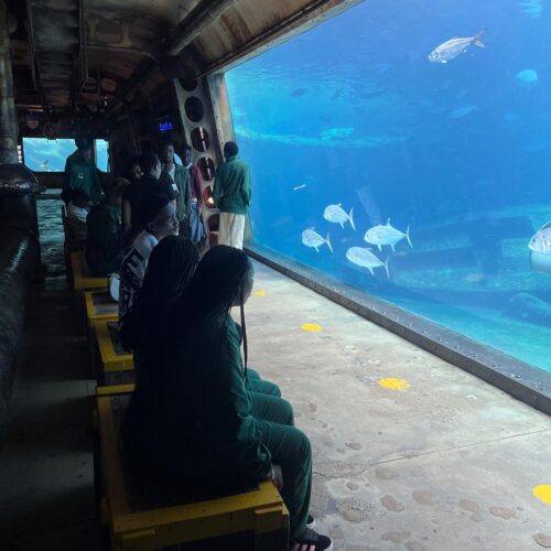 IMG-20260904-WA0368