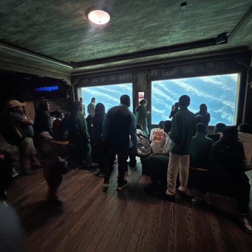 IMG-20260904-WA0383