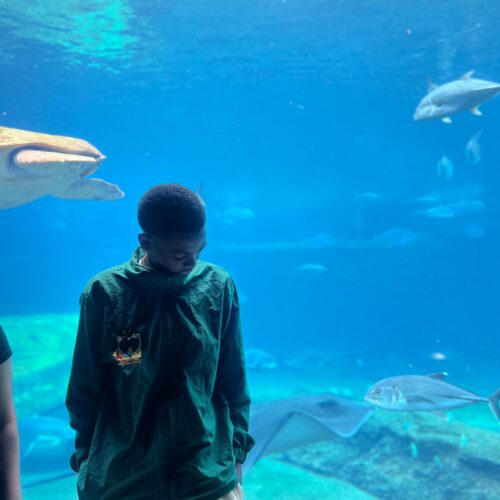 IMG-20260904-WA0536