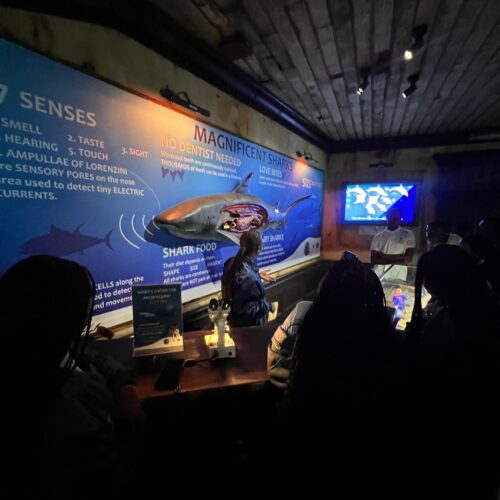 IMG-20260904-WA0900